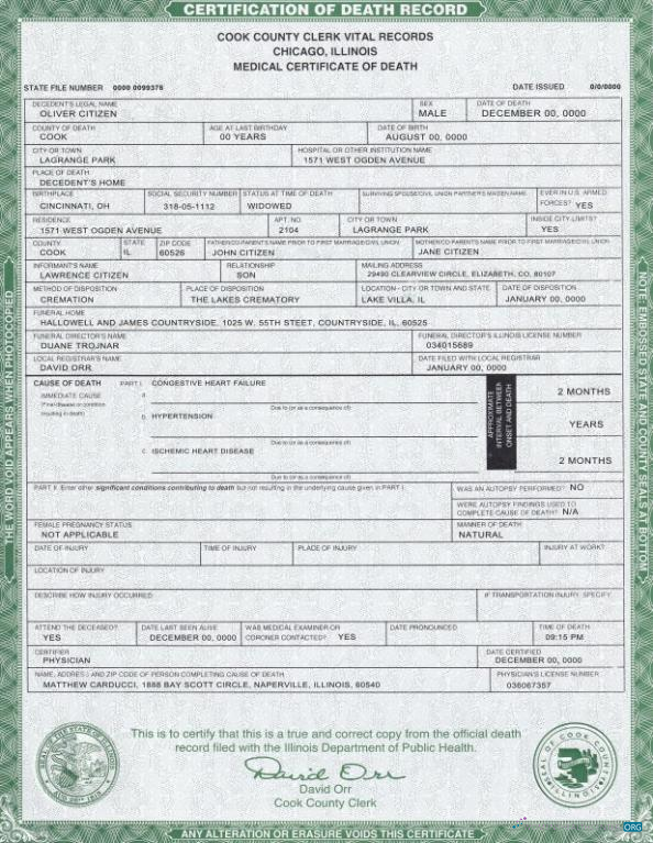 Download USA Illinois state death certificate template in PSD format Photoshop template
